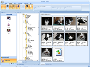 Office 2007 Blue Skin