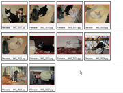 Standard THumbnails